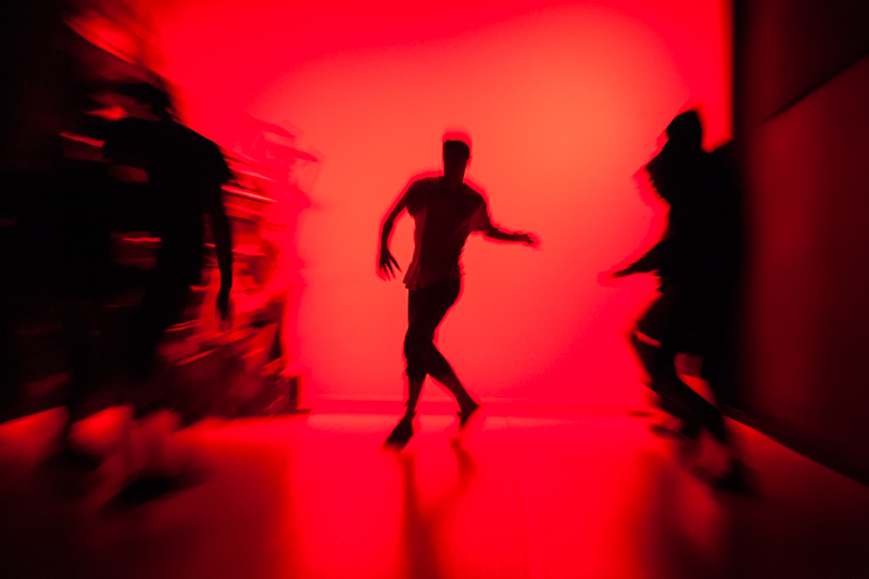 FESTUCS/Crònica d’un espai de&nbsp;desgast